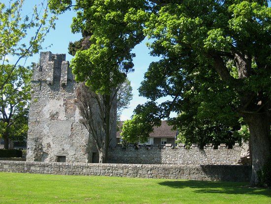 Monkstown Castle